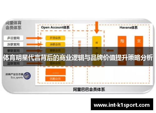 体育明星代言背后的商业逻辑与品牌价值提升策略分析