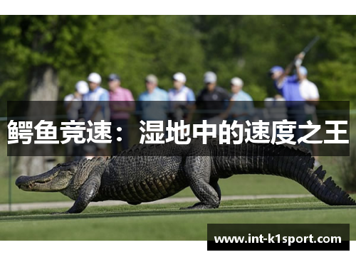 鳄鱼竞速：湿地中的速度之王
